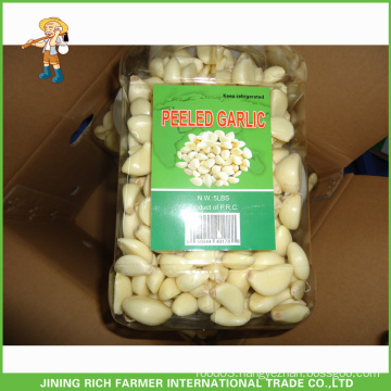 Wholesale Products Fresh Peeled Garlic